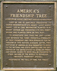 Friendship Tree Plaque